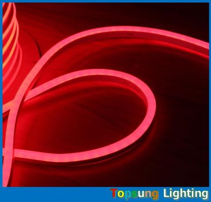 CE ROHS onayı festival için 110V mini LED neon flex lambaları