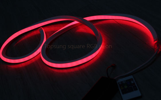 Yüksek kaliteli 16*16m 230v kare RED LED neon flex ışık açık hava için