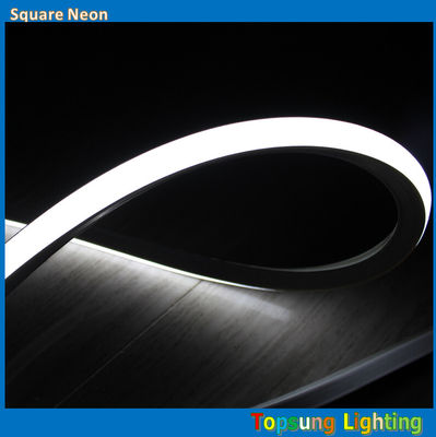 Dış mekan için şaşırtıcı parlak kare 127v 16*16m beyaz LED neon ışığı