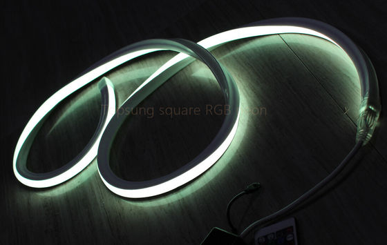 Sıcak satış RGB 16*16m 127V düz neon LED ışığı Çin'de yapıldı