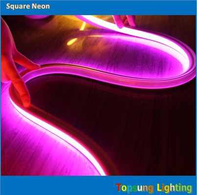 2016 yeni pembe kare 12v 16*16m LED neon flexi oda ışığı