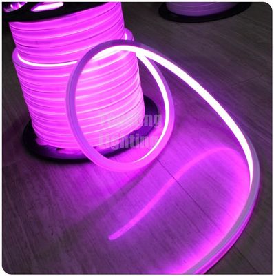 2016 yeni pembe kare 12v 16*16m LED neon flexi oda ışığı