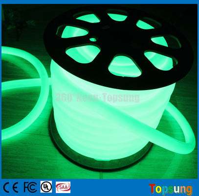 82 feet spool yeşil LED neon flex tüp ışığı oda için 12v yuvarlak