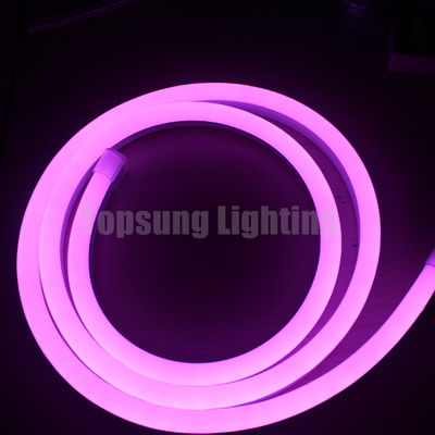 14*26mm renkli LED ışığı dijital 24v neon ışıkları