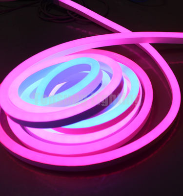 24v dijital rgb led neon flex takip şeridi 5050 SPI programlanabilir ışıklar