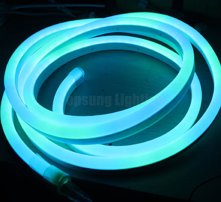 dmx SPI dijital RGB 11x19mm düz LED neon 12v adreslenebilir neon şeritleri 24v 10 piksel/m