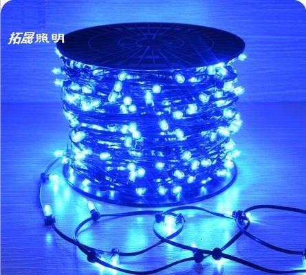 Noel ağacı üreticisi IP65 LED ip lambaları 12V LED klip ışığı Avustralya için